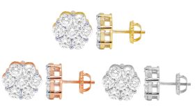 New Collections